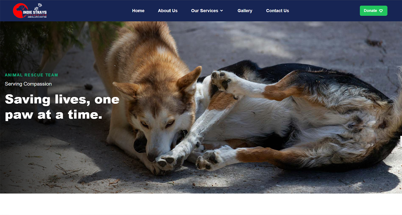 Indie Strays Foundation